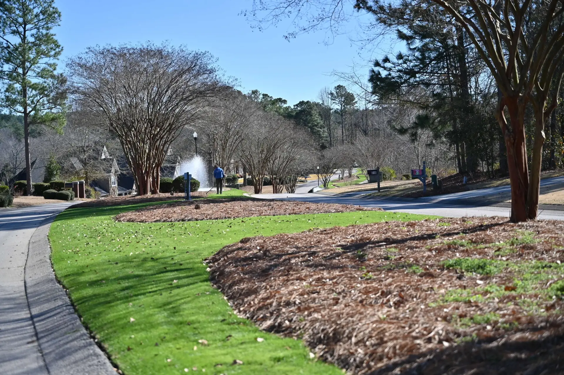 Freshly mowed lawn with pine-straw landscaping in Augusta, GA