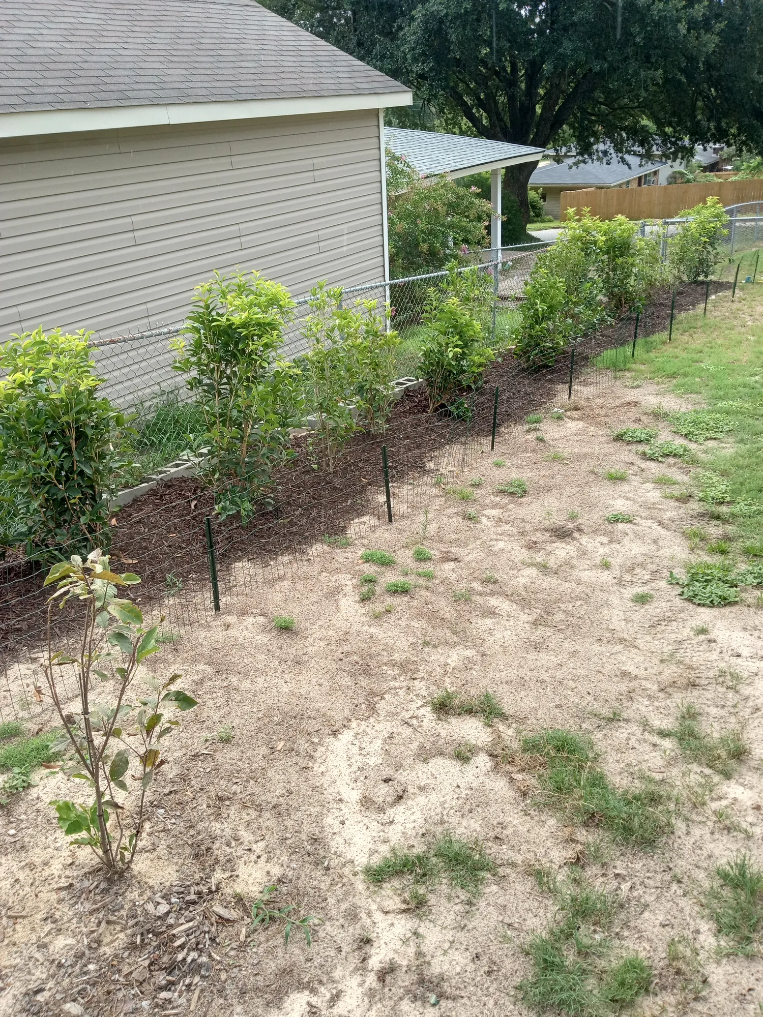 Bed renovation in north augusta — North Augusta, SC