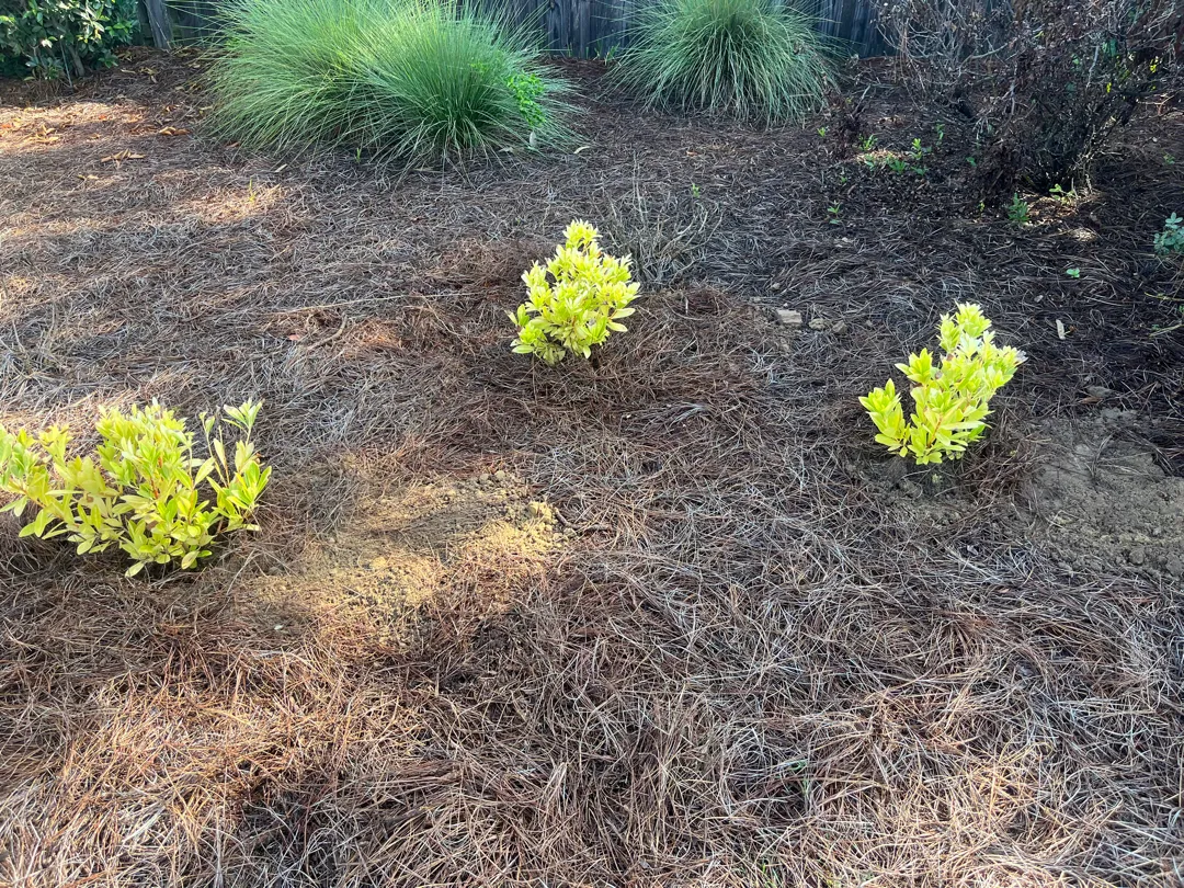 Customer Review in North Augusta, SC — North Augusta, SC