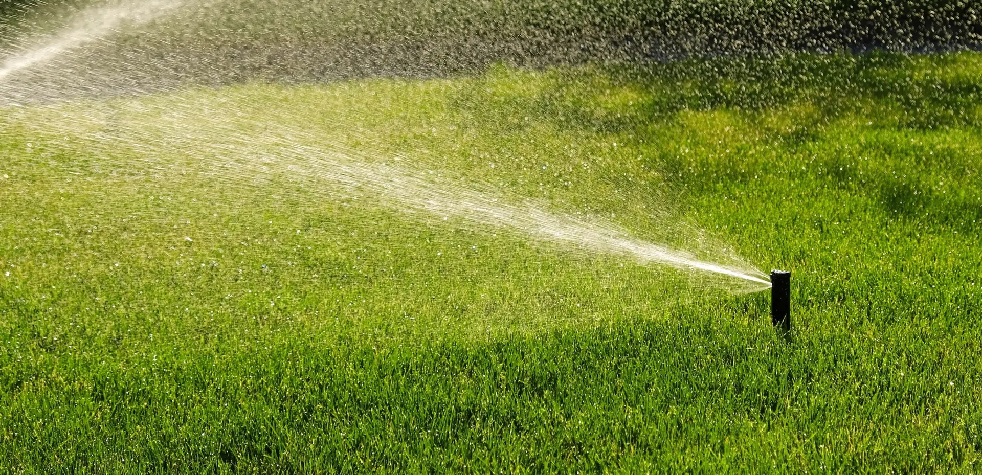Lawn treatment & fertilization